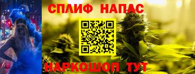 мдпв Дубна