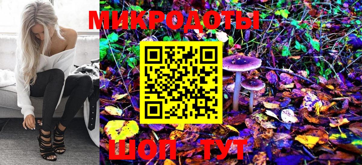 Псилоцибиновые грибы Cubensis Люберцы