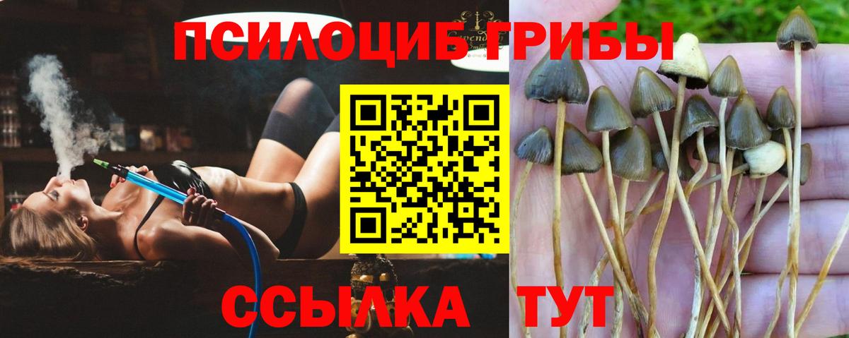 Псилоцибиновые грибы Magic Shrooms  купить наркотик  Люберцы  Галлюциногенные грибы мицелий  Вход с VPN 